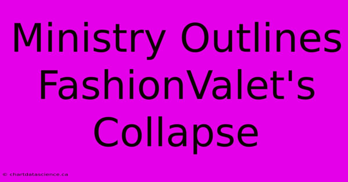 Ministry Outlines FashionValet's Collapse