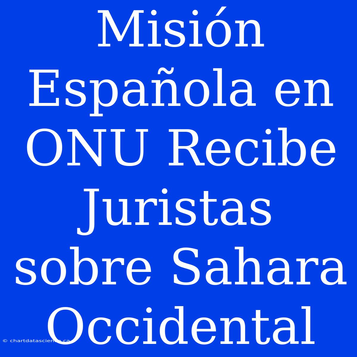 Misión Española En ONU Recibe Juristas Sobre Sahara Occidental