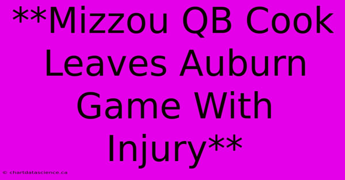 **Mizzou QB Cook Leaves Auburn Game With Injury**