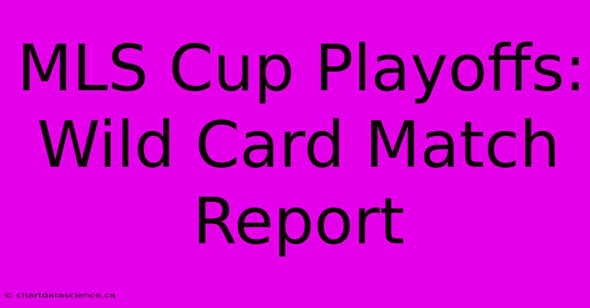 MLS Cup Playoffs: Wild Card Match Report