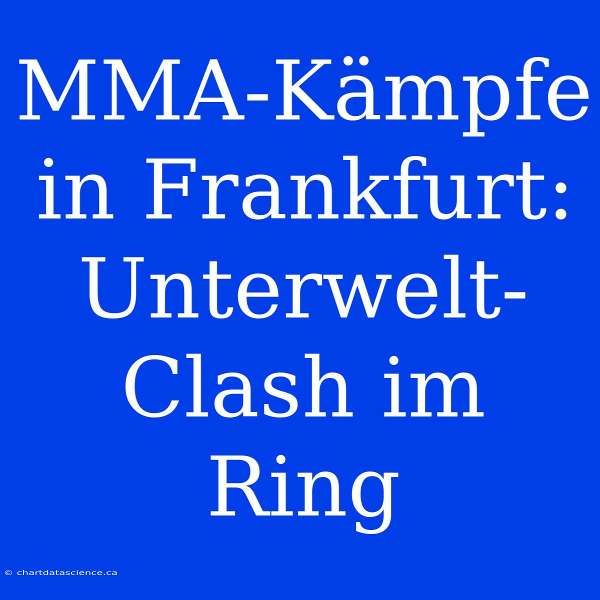 MMA-Kämpfe In Frankfurt:  Unterwelt-Clash Im Ring