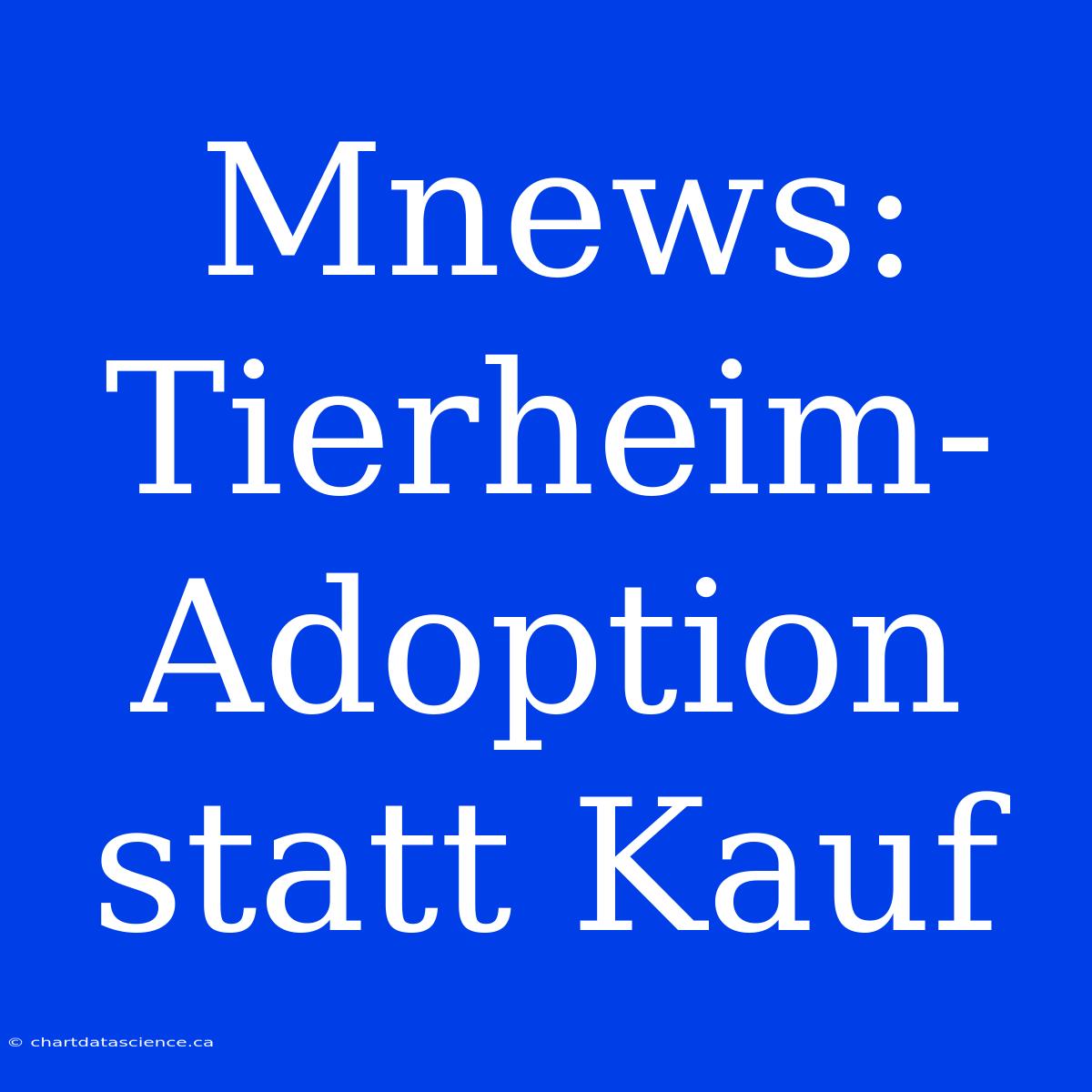 Mnews: Tierheim-Adoption Statt Kauf