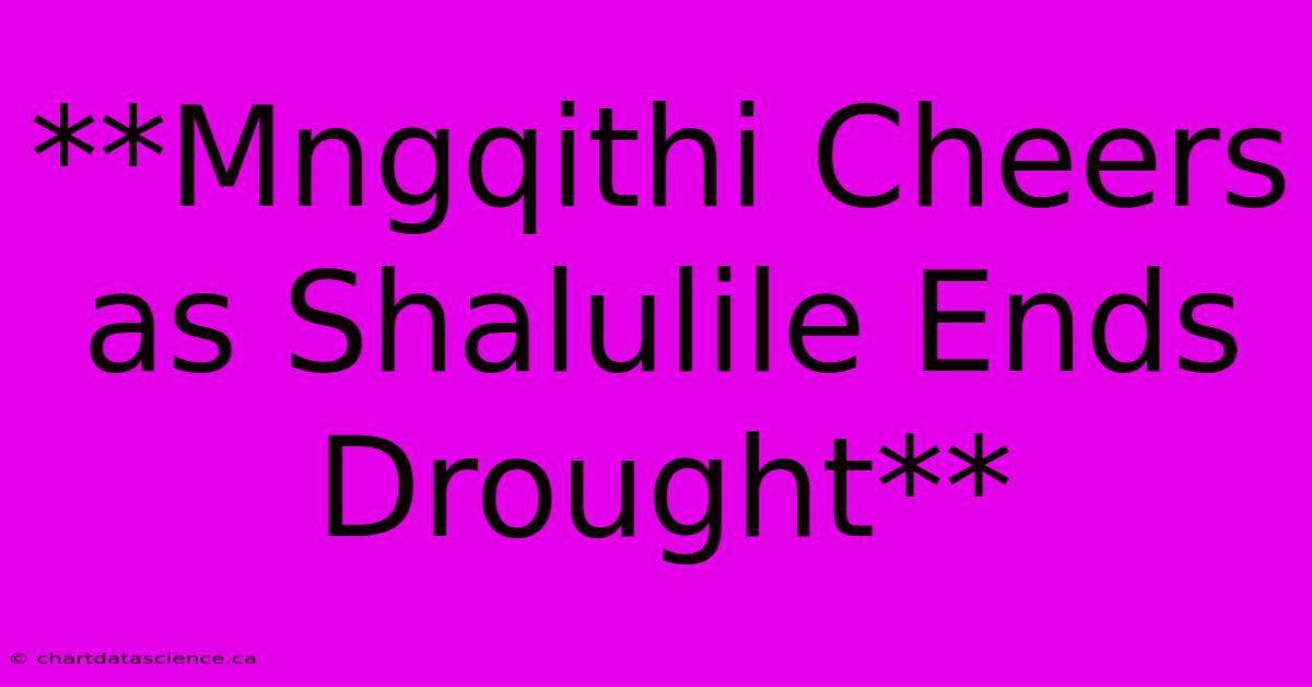 **Mngqithi Cheers As Shalulile Ends Drought** 