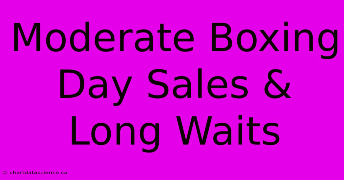 Moderate Boxing Day Sales & Long Waits