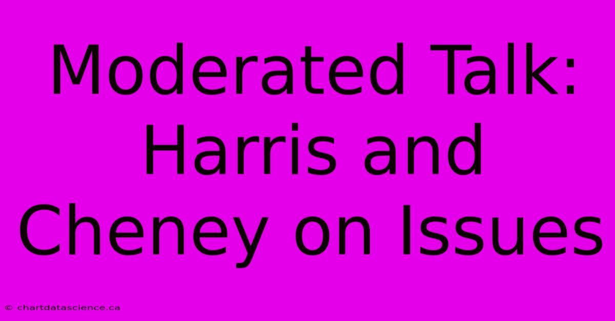 Moderated Talk: Harris And Cheney On Issues 