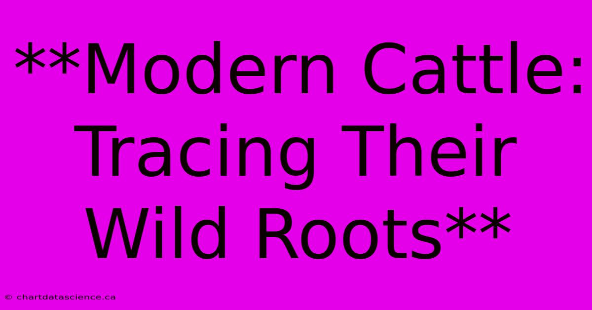 **Modern Cattle: Tracing Their Wild Roots** 