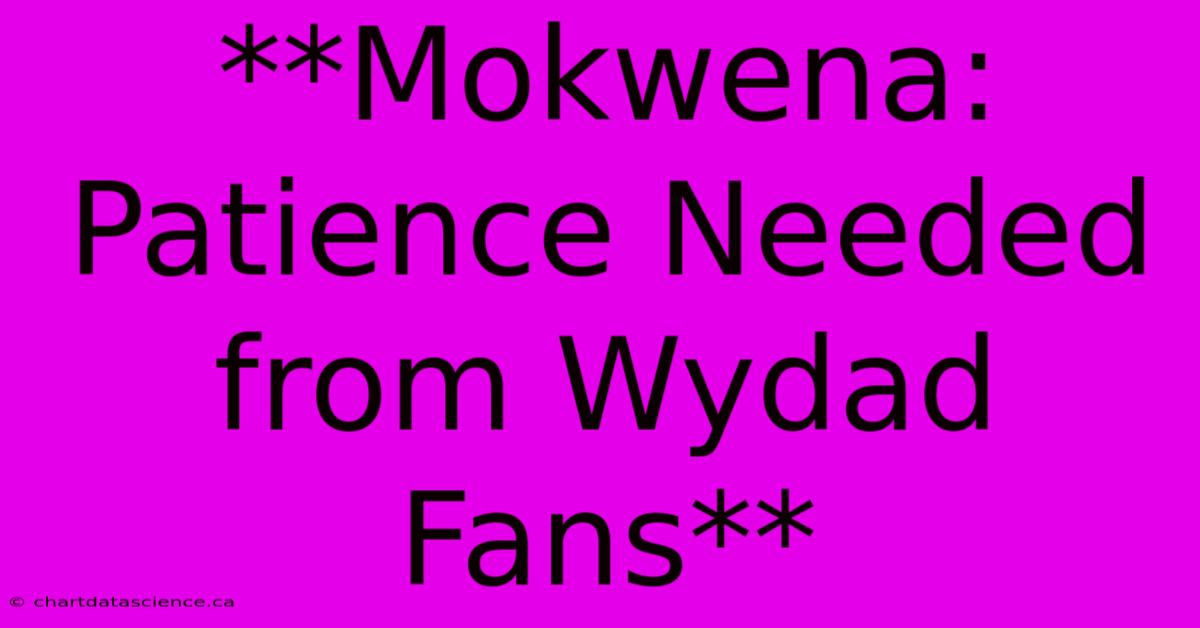 **Mokwena: Patience Needed From Wydad Fans** 