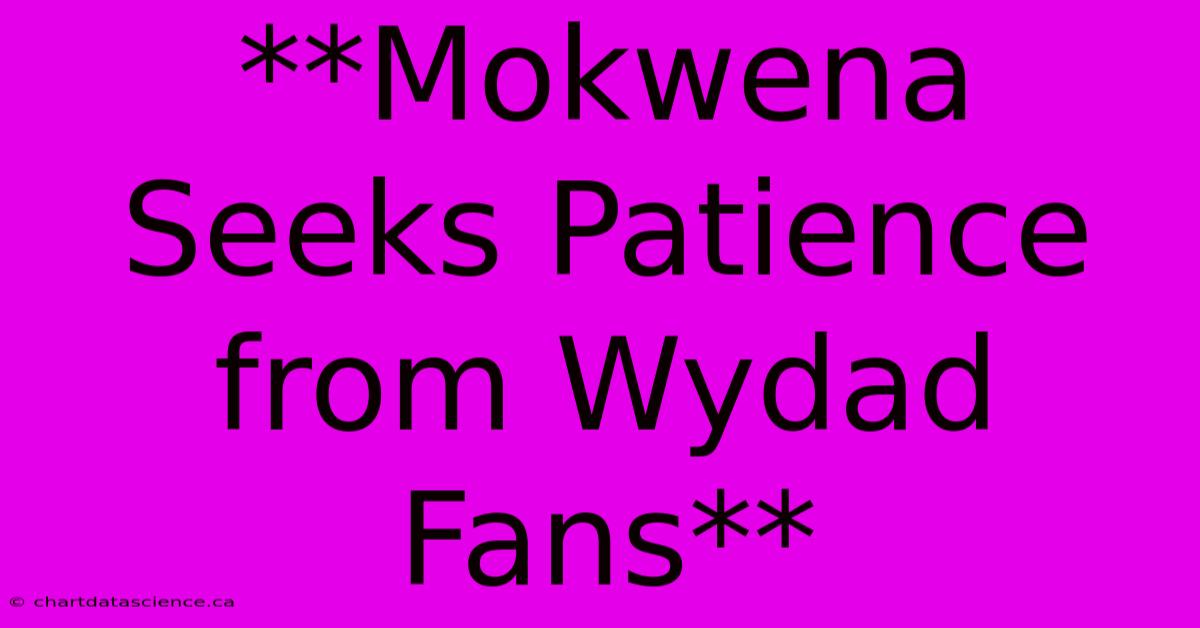 **Mokwena Seeks Patience From Wydad Fans**