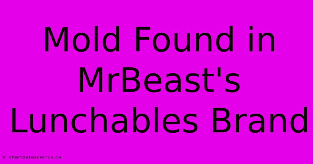 Mold Found In MrBeast's Lunchables Brand 