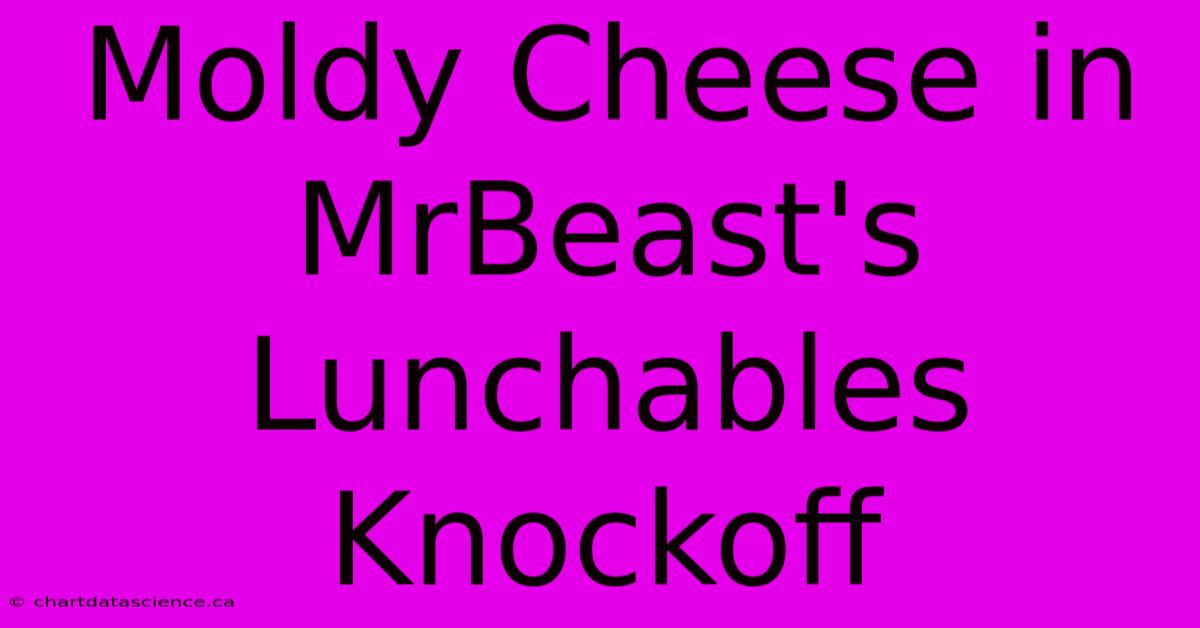 Moldy Cheese In MrBeast's Lunchables Knockoff