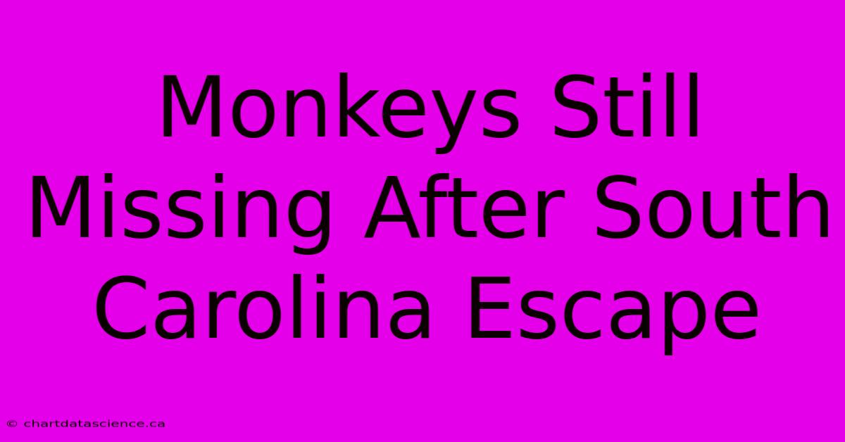 Monkeys Still Missing After South Carolina Escape