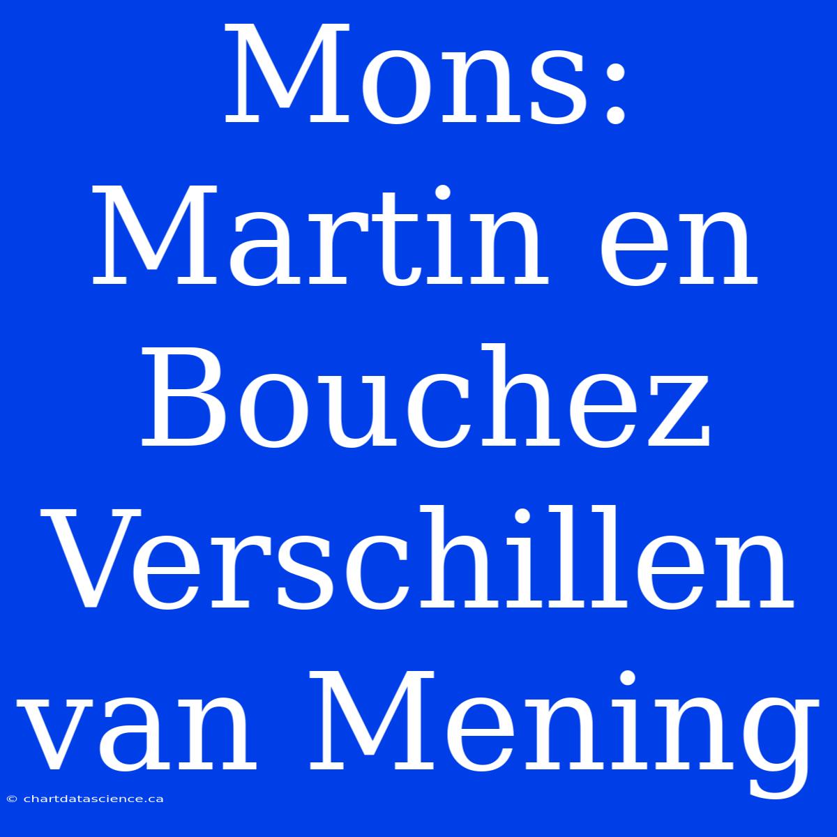 Mons: Martin En Bouchez Verschillen Van Mening