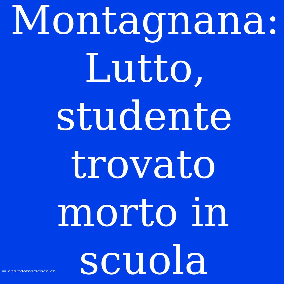 Montagnana: Lutto, Studente Trovato Morto In Scuola