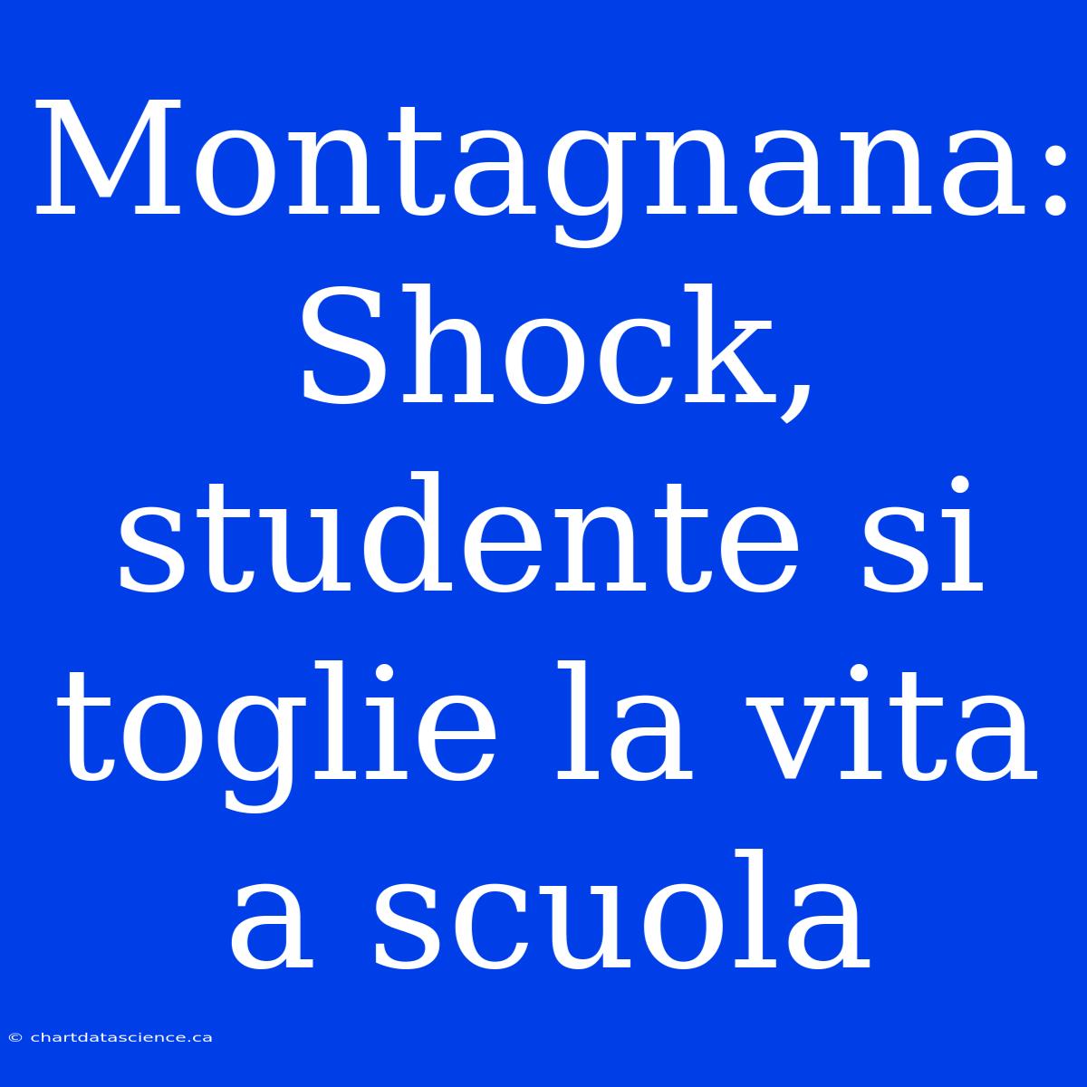 Montagnana: Shock, Studente Si Toglie La Vita A Scuola