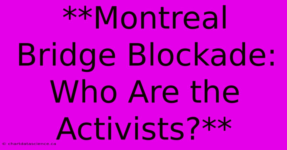 **Montreal Bridge Blockade: Who Are The Activists?**