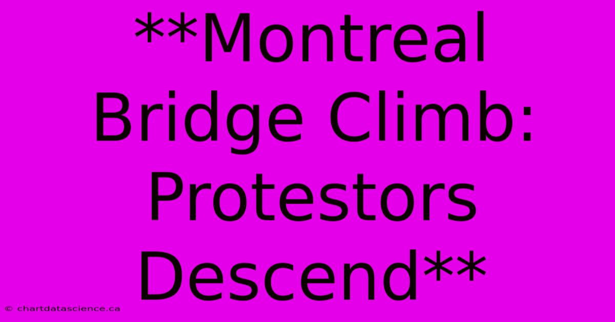 **Montreal Bridge Climb: Protestors Descend** 