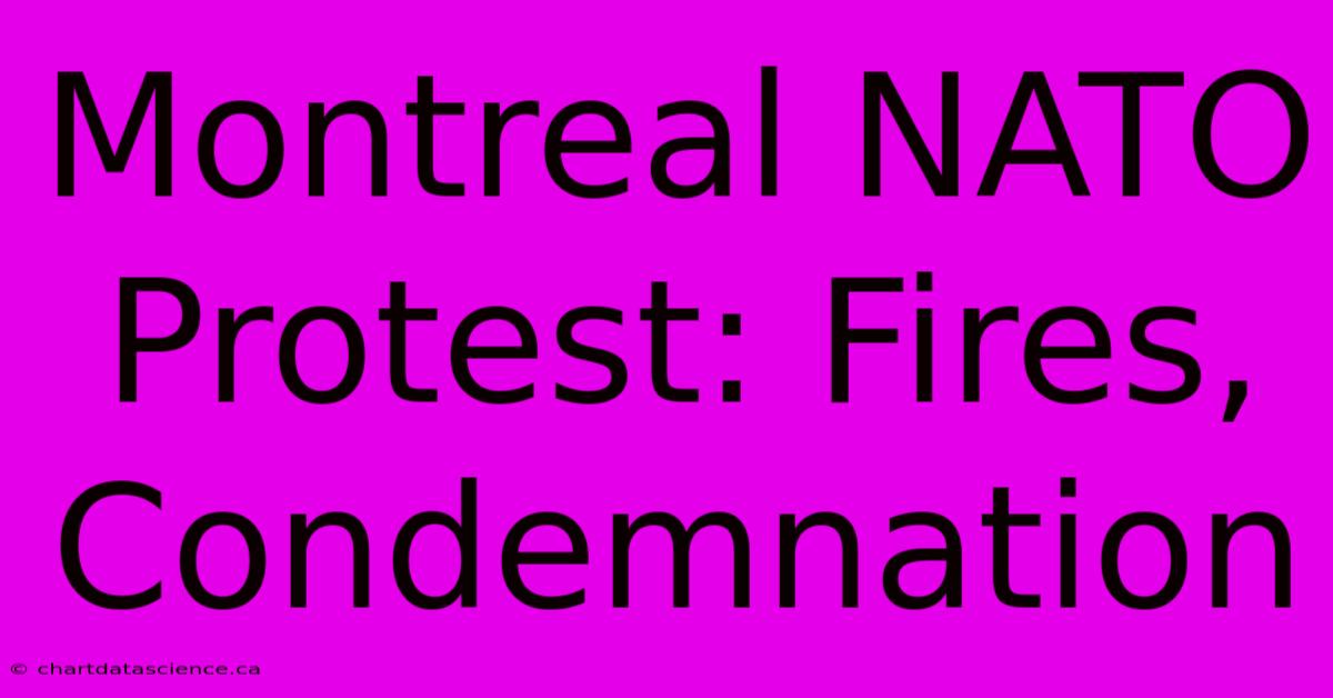 Montreal NATO Protest: Fires, Condemnation