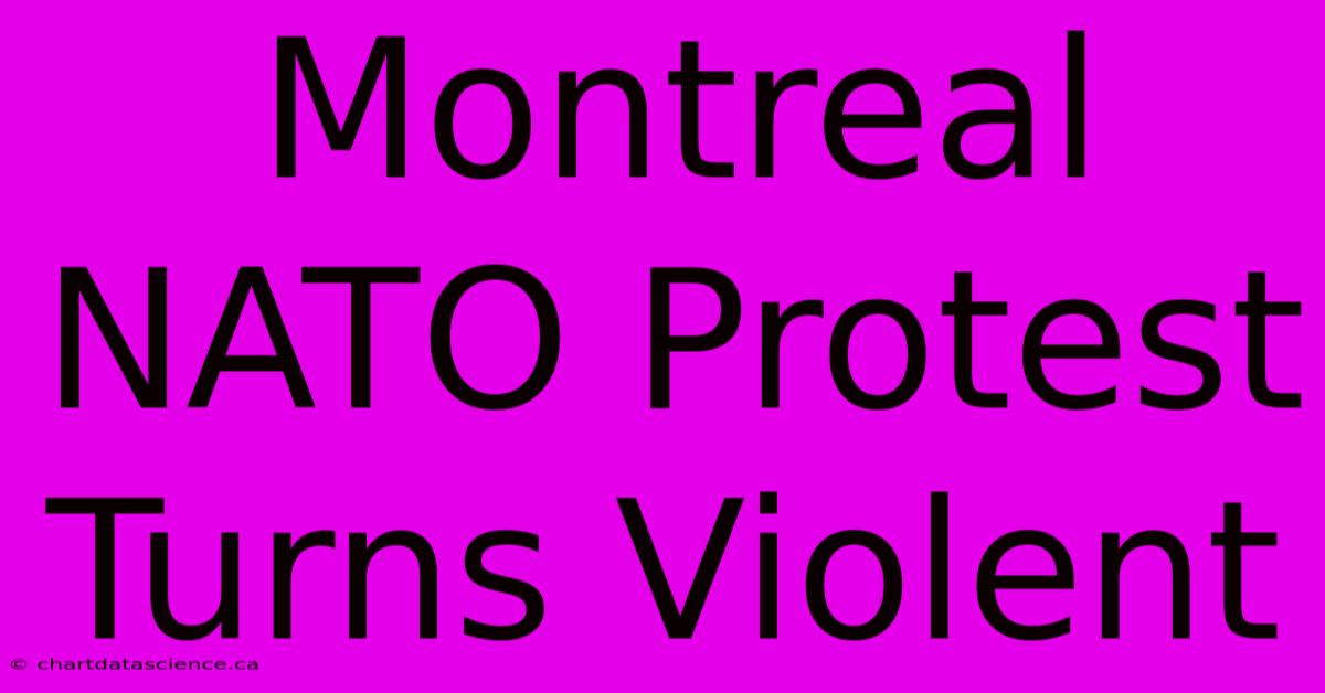 Montreal NATO Protest Turns Violent