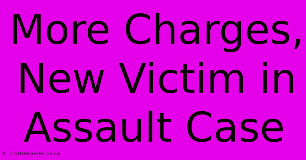 More Charges, New Victim In Assault Case