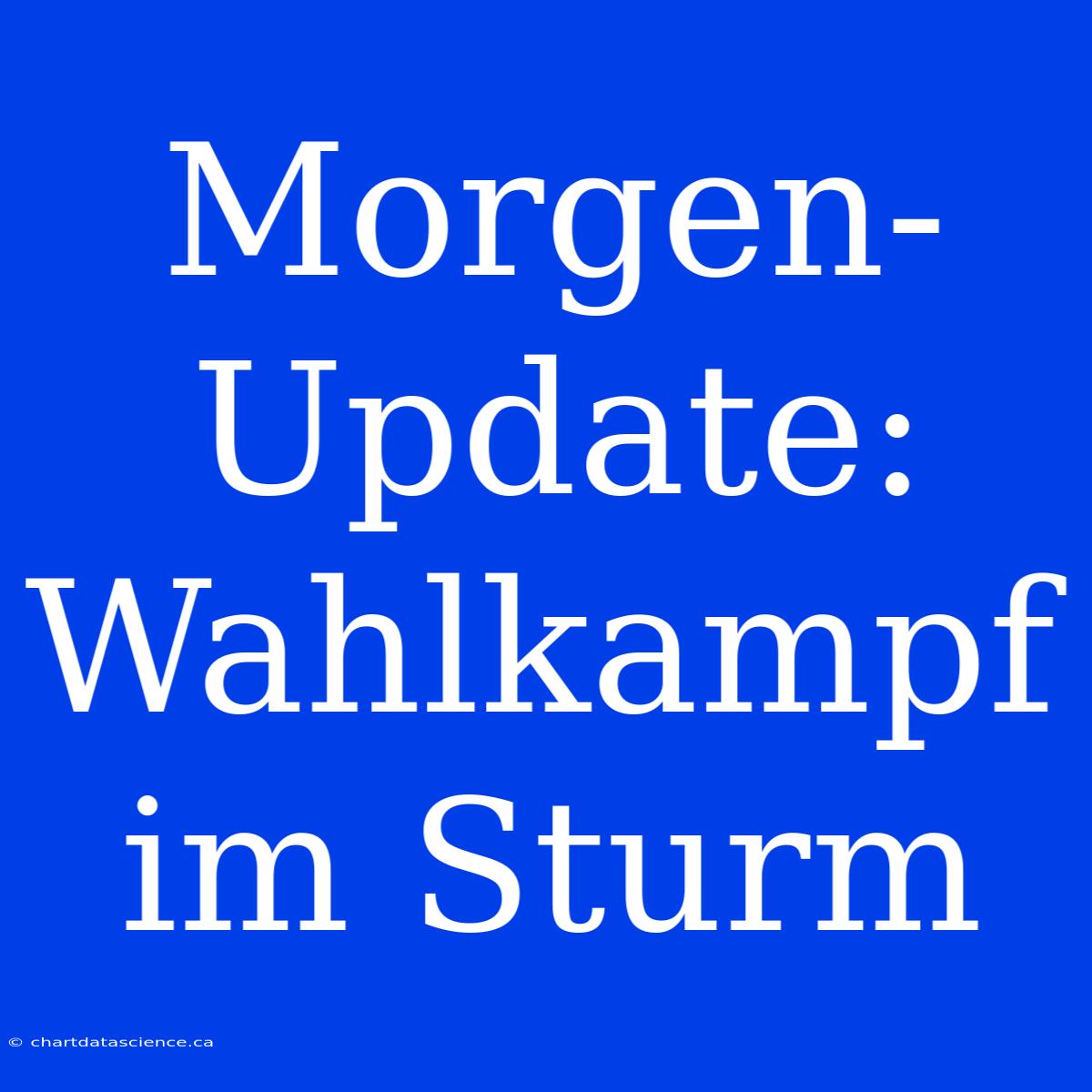 Morgen-Update: Wahlkampf Im Sturm