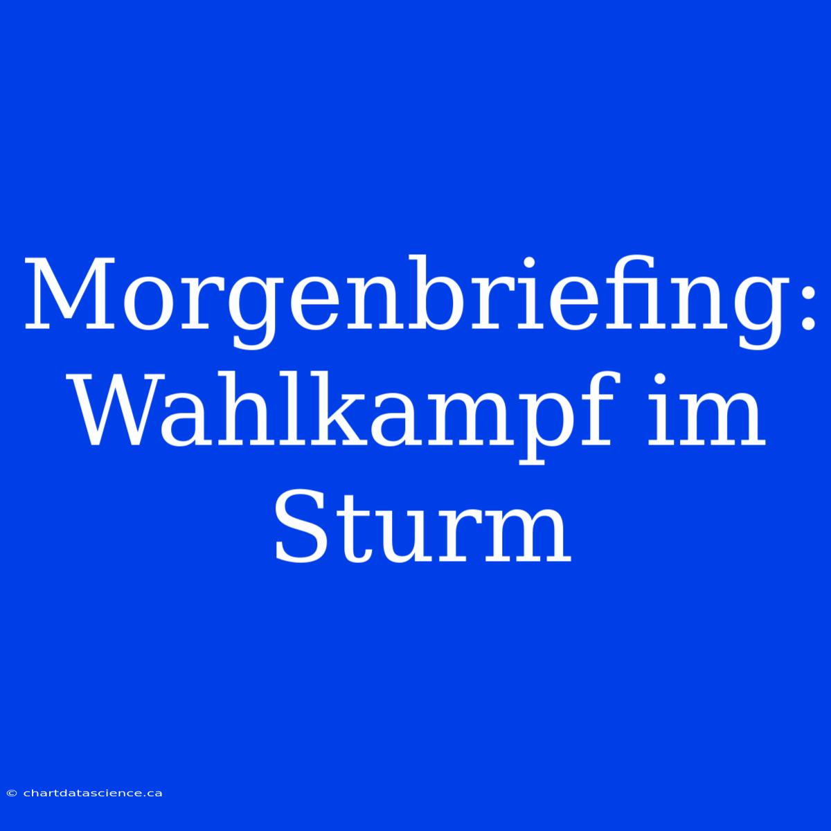 Morgenbriefing: Wahlkampf Im Sturm