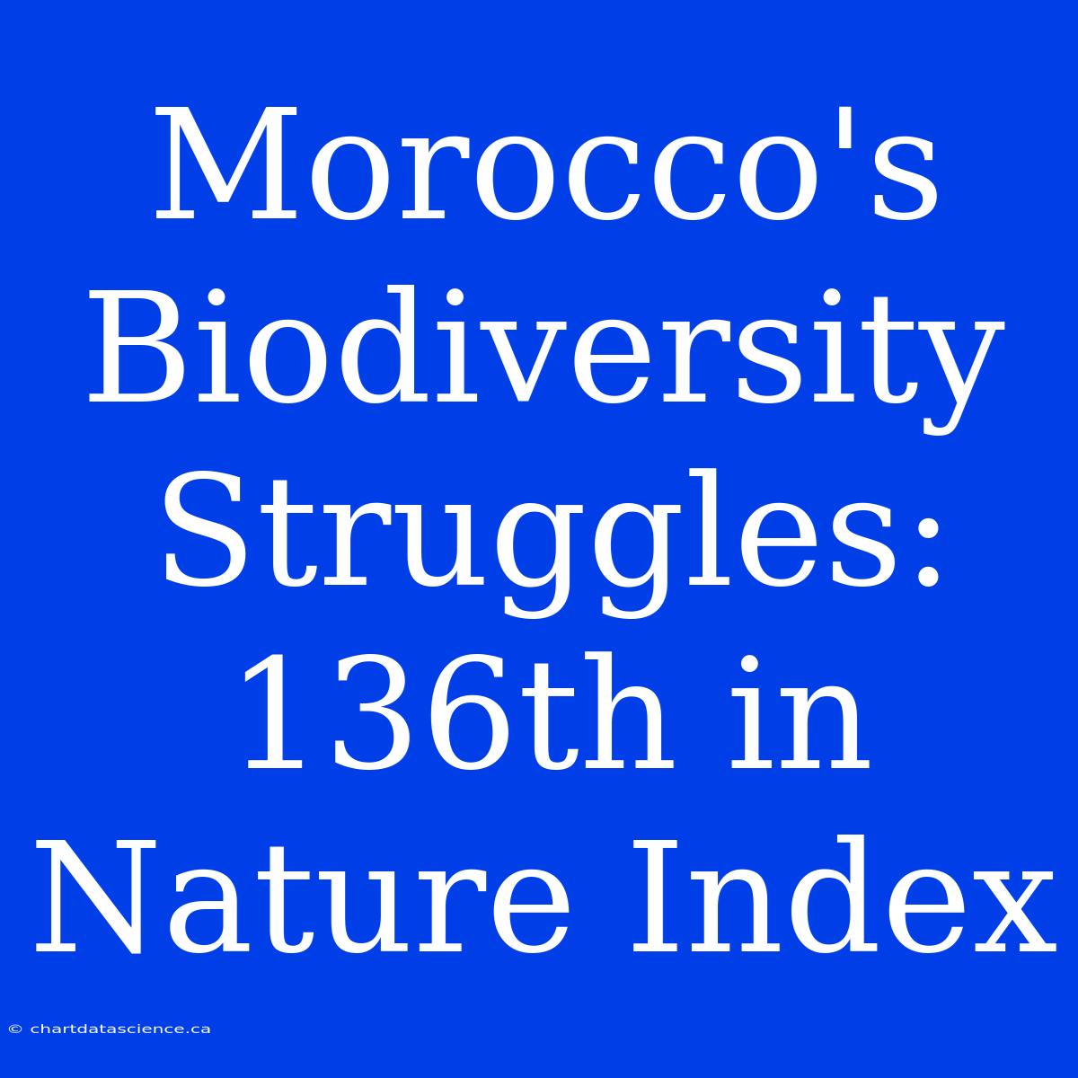 Morocco's Biodiversity Struggles: 136th In Nature Index