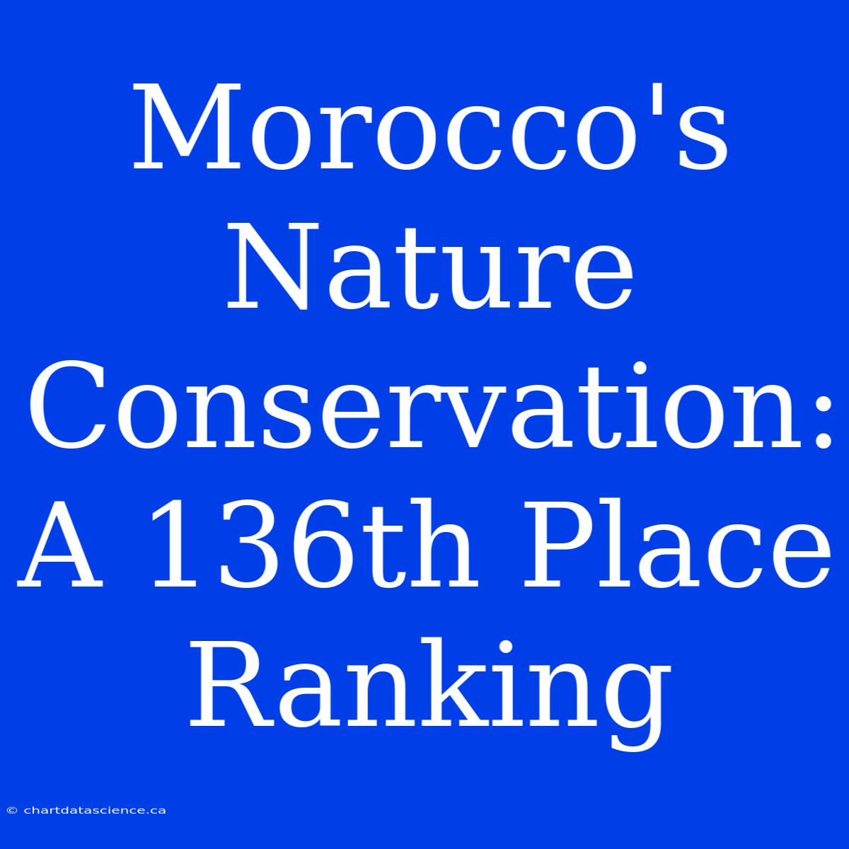 Morocco's Nature Conservation: A 136th Place Ranking