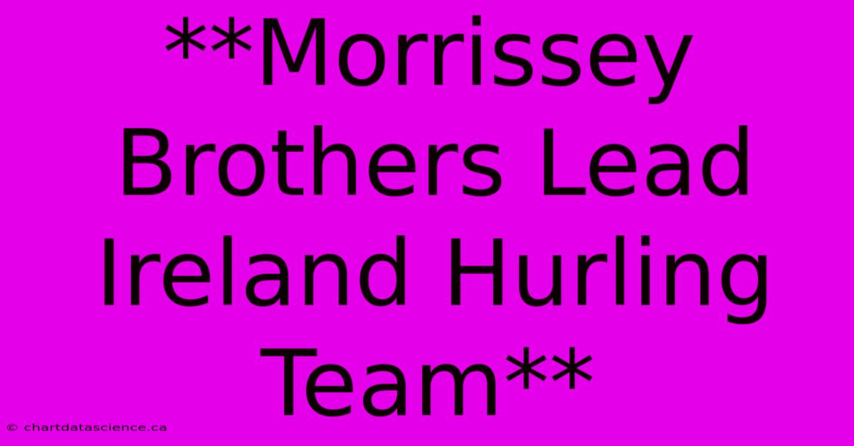 **Morrissey Brothers Lead Ireland Hurling Team** 