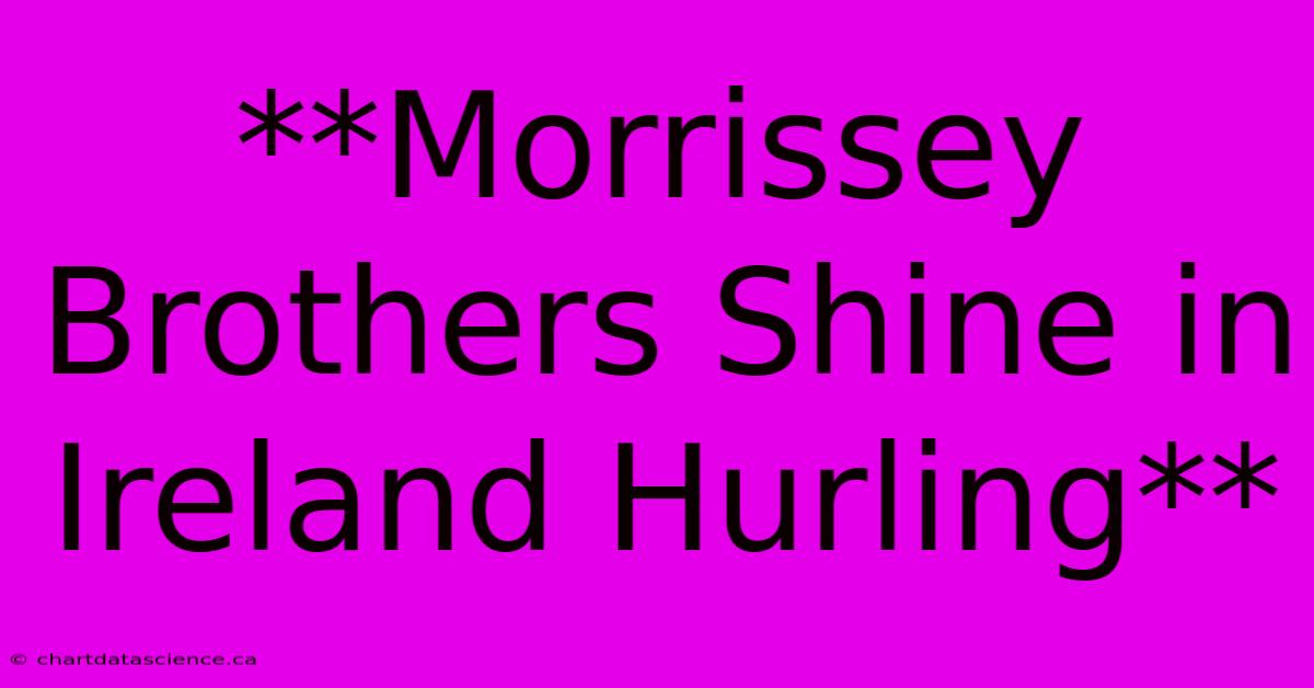 **Morrissey Brothers Shine In Ireland Hurling**