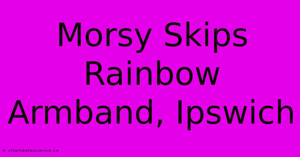 Morsy Skips Rainbow Armband, Ipswich