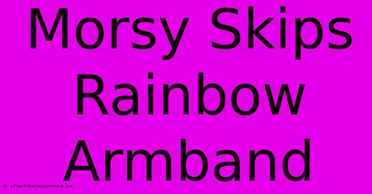 Morsy Skips Rainbow Armband