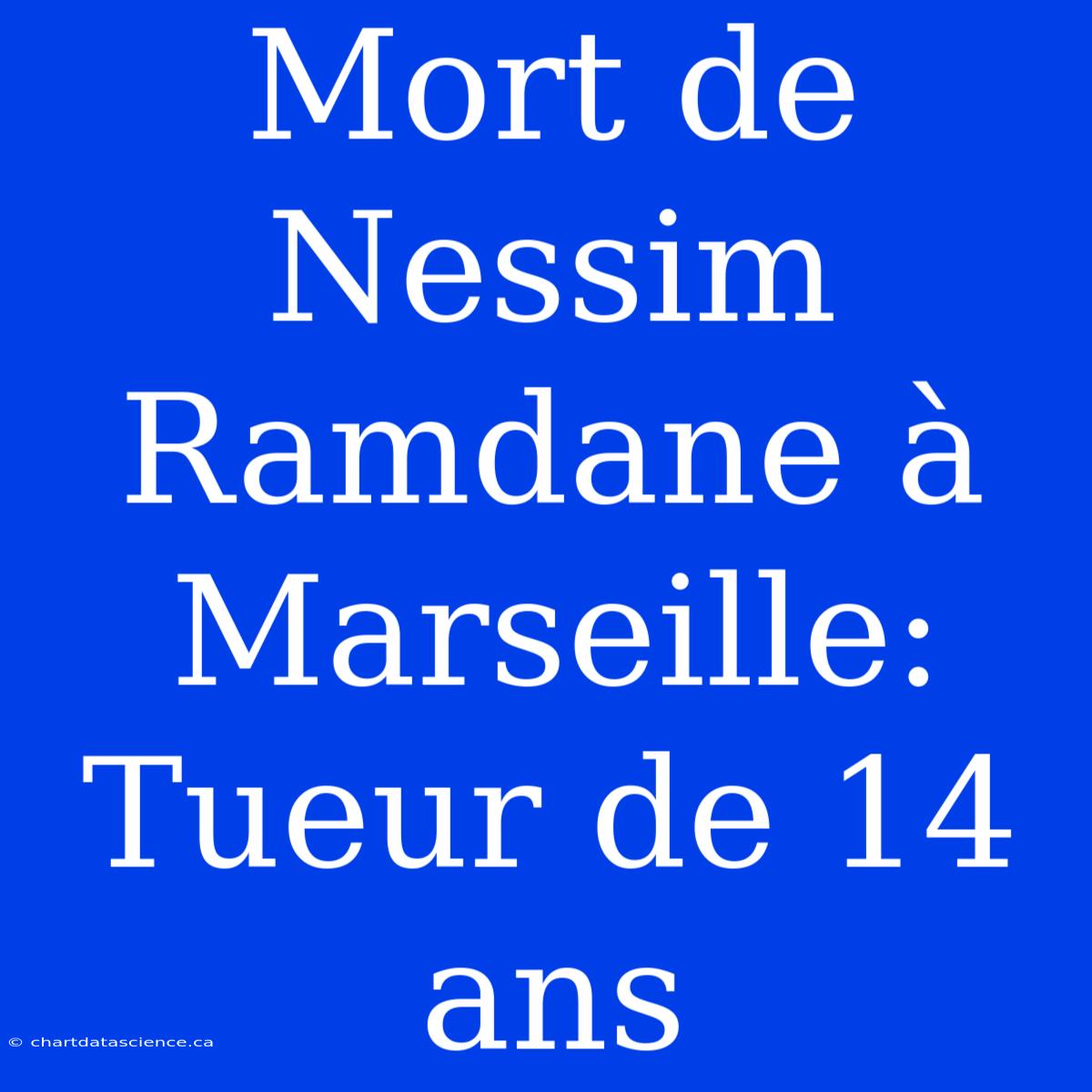 Mort De Nessim Ramdane À Marseille: Tueur De 14 Ans