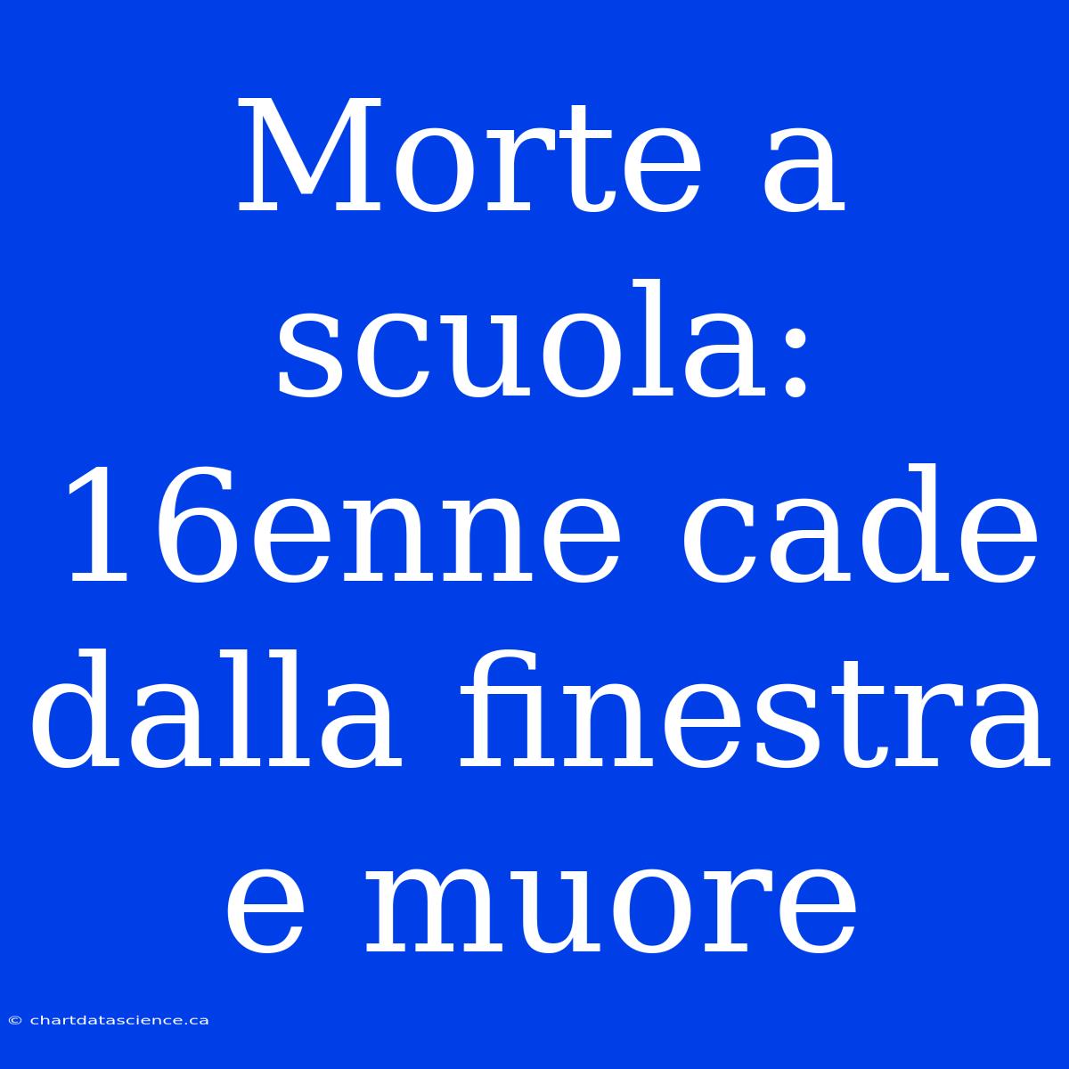 Morte A Scuola: 16enne Cade Dalla Finestra E Muore