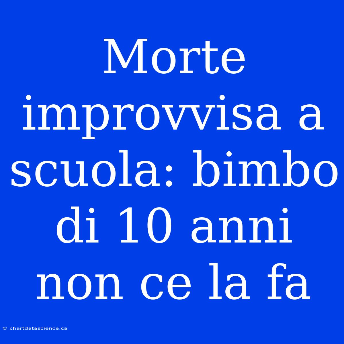 Morte Improvvisa A Scuola: Bimbo Di 10 Anni Non Ce La Fa