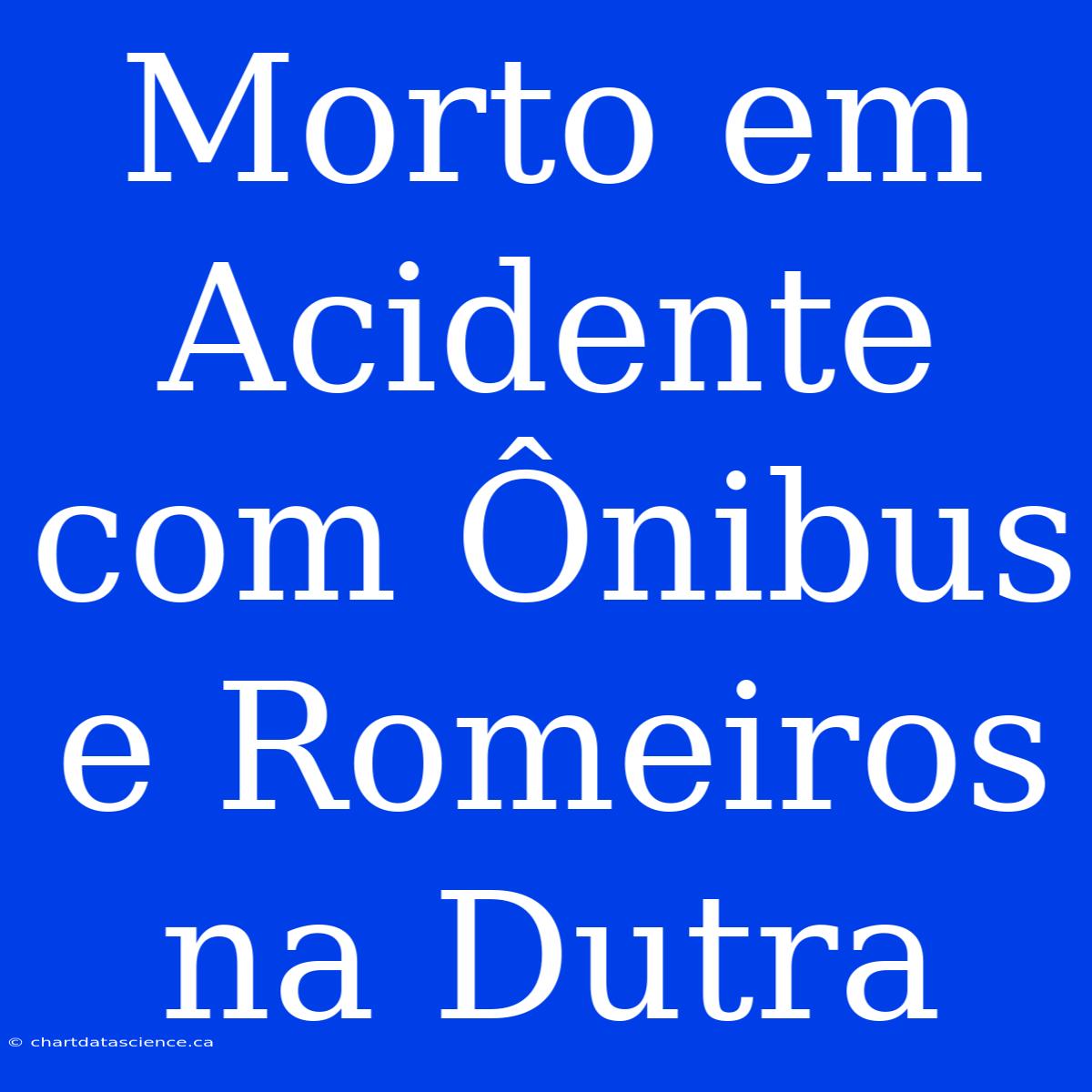 Morto Em Acidente Com Ônibus E Romeiros Na Dutra