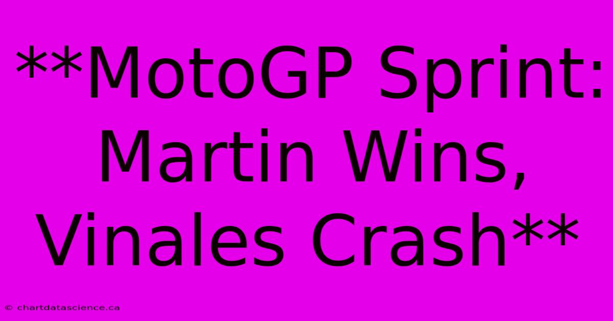 **MotoGP Sprint: Martin Wins, Vinales Crash**