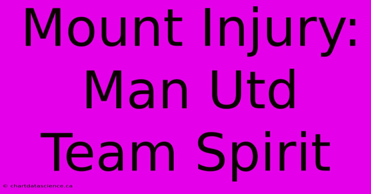 Mount Injury: Man Utd Team Spirit