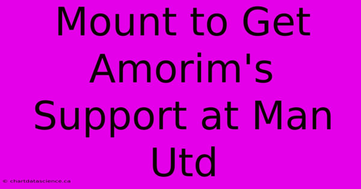 Mount To Get Amorim's Support At Man Utd