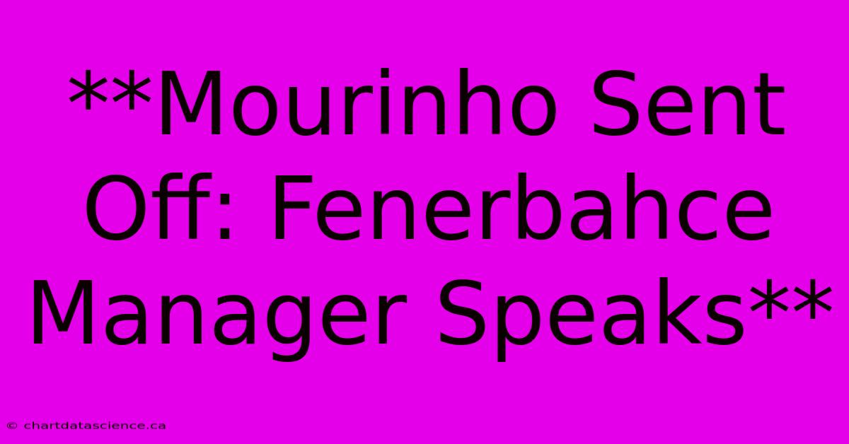 **Mourinho Sent Off: Fenerbahce Manager Speaks**