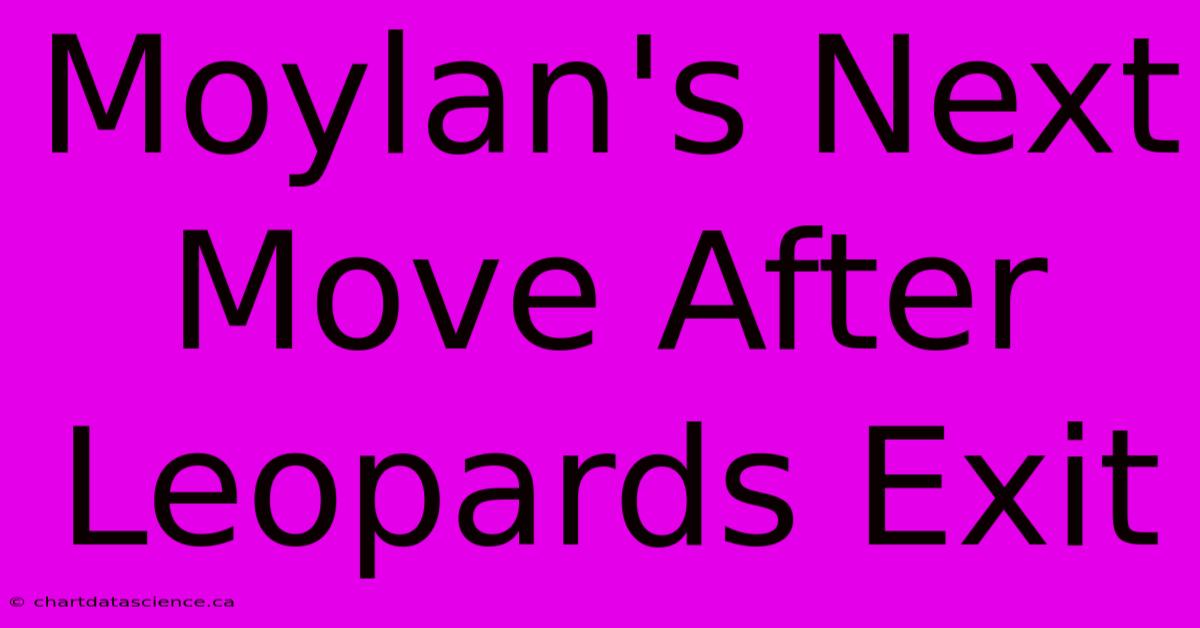 Moylan's Next Move After Leopards Exit