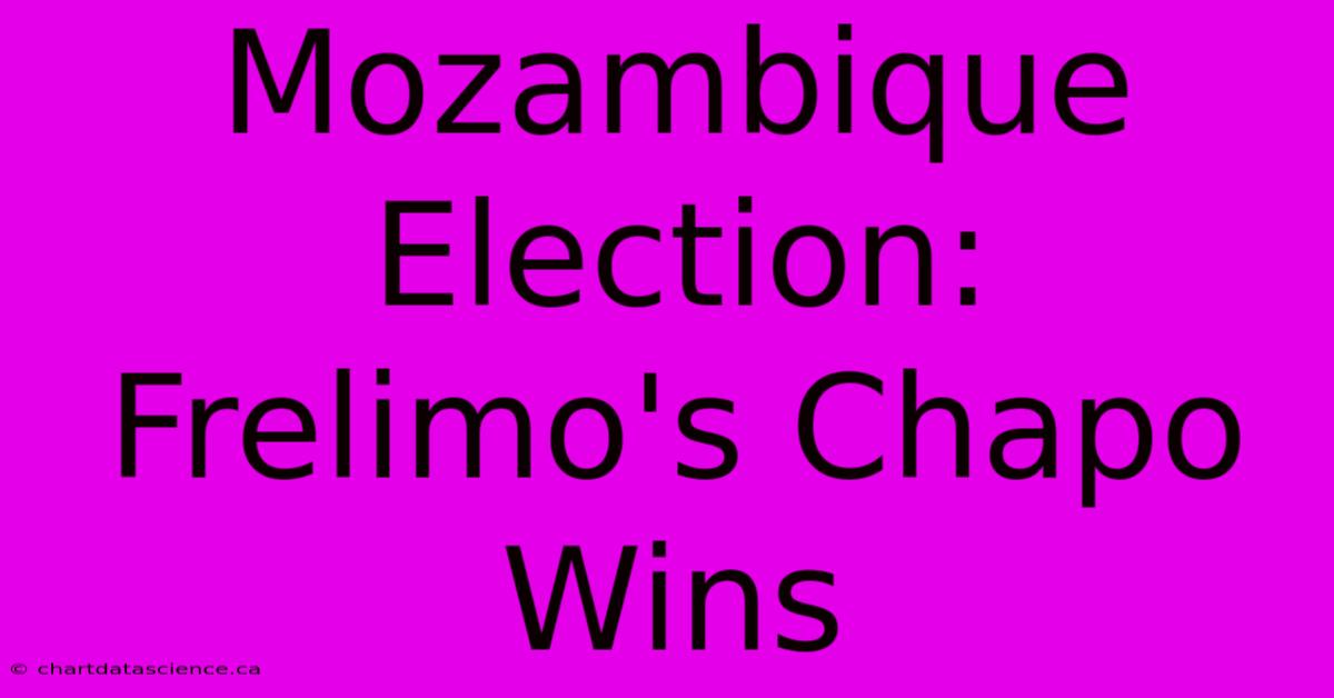 Mozambique Election: Frelimo's Chapo Wins