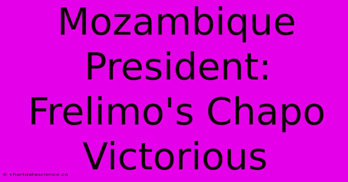 Mozambique President: Frelimo's Chapo Victorious