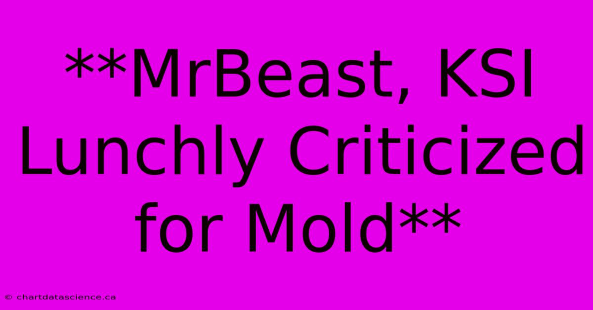 **MrBeast, KSI Lunchly Criticized For Mold**