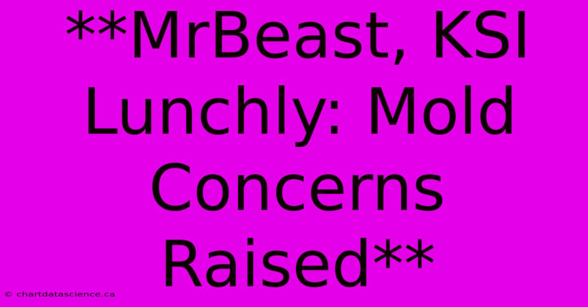 **MrBeast, KSI Lunchly: Mold Concerns Raised** 