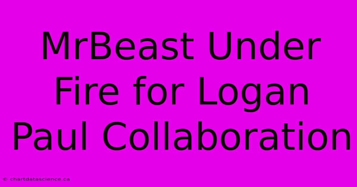 MrBeast Under Fire For Logan Paul Collaboration