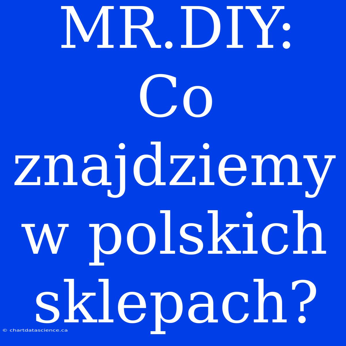 MR.DIY: Co Znajdziemy W Polskich Sklepach?