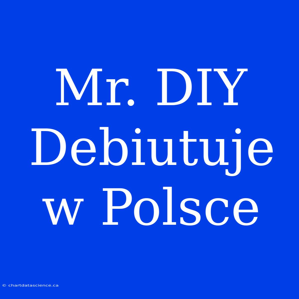 Mr. DIY Debiutuje W Polsce