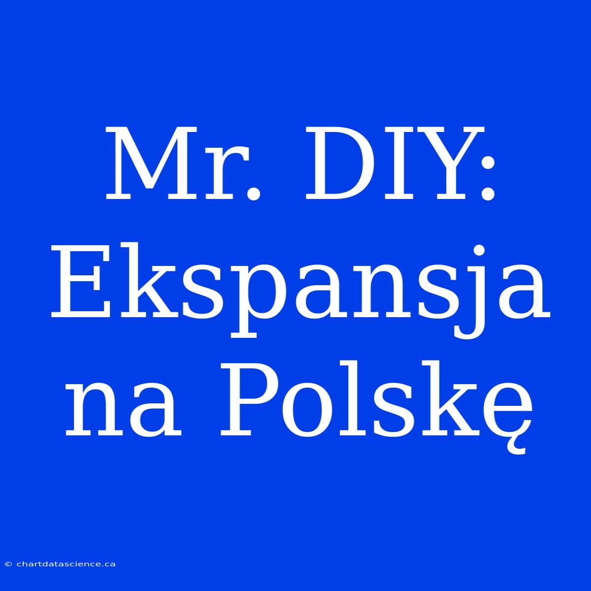 Mr. DIY: Ekspansja Na Polskę