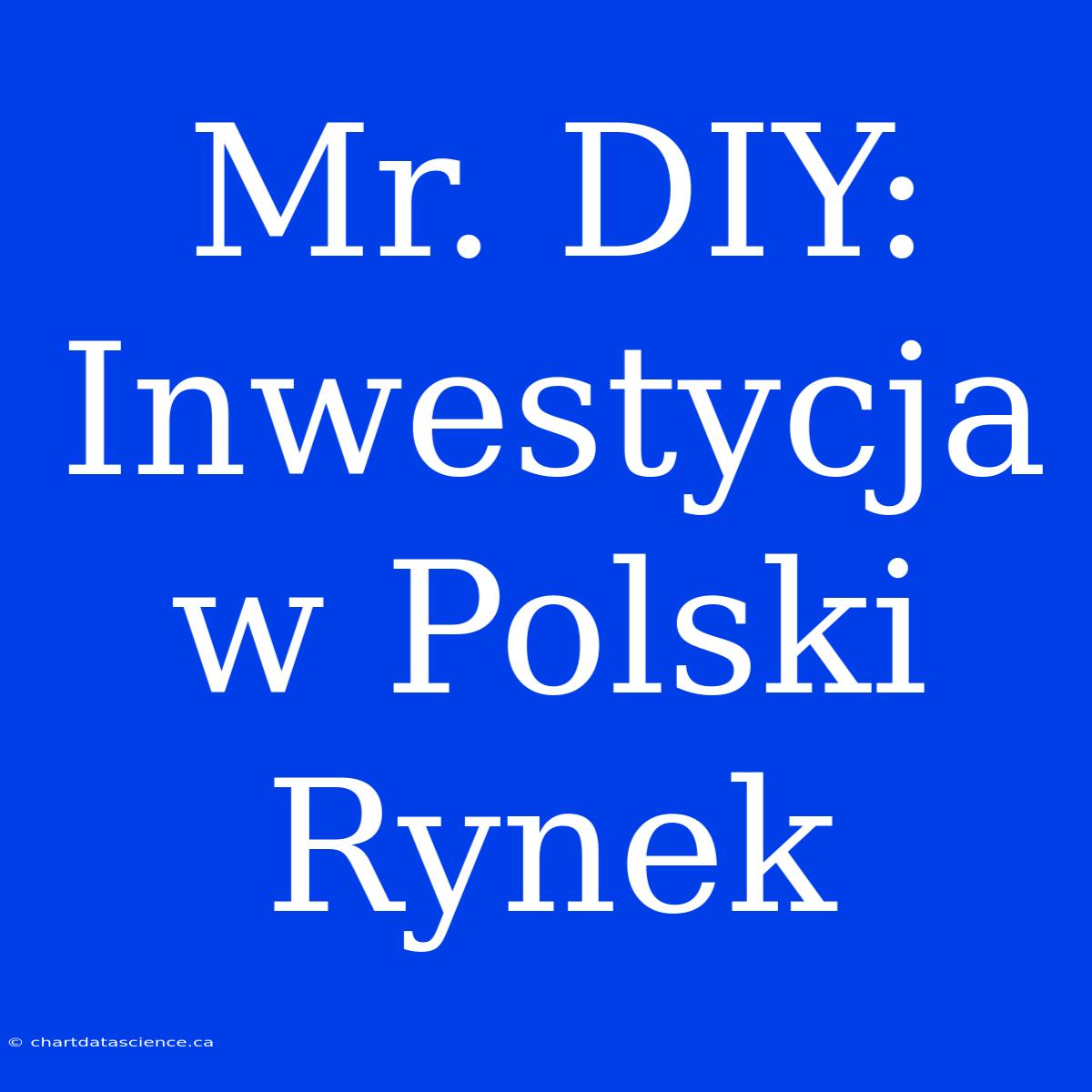 Mr. DIY: Inwestycja W Polski Rynek