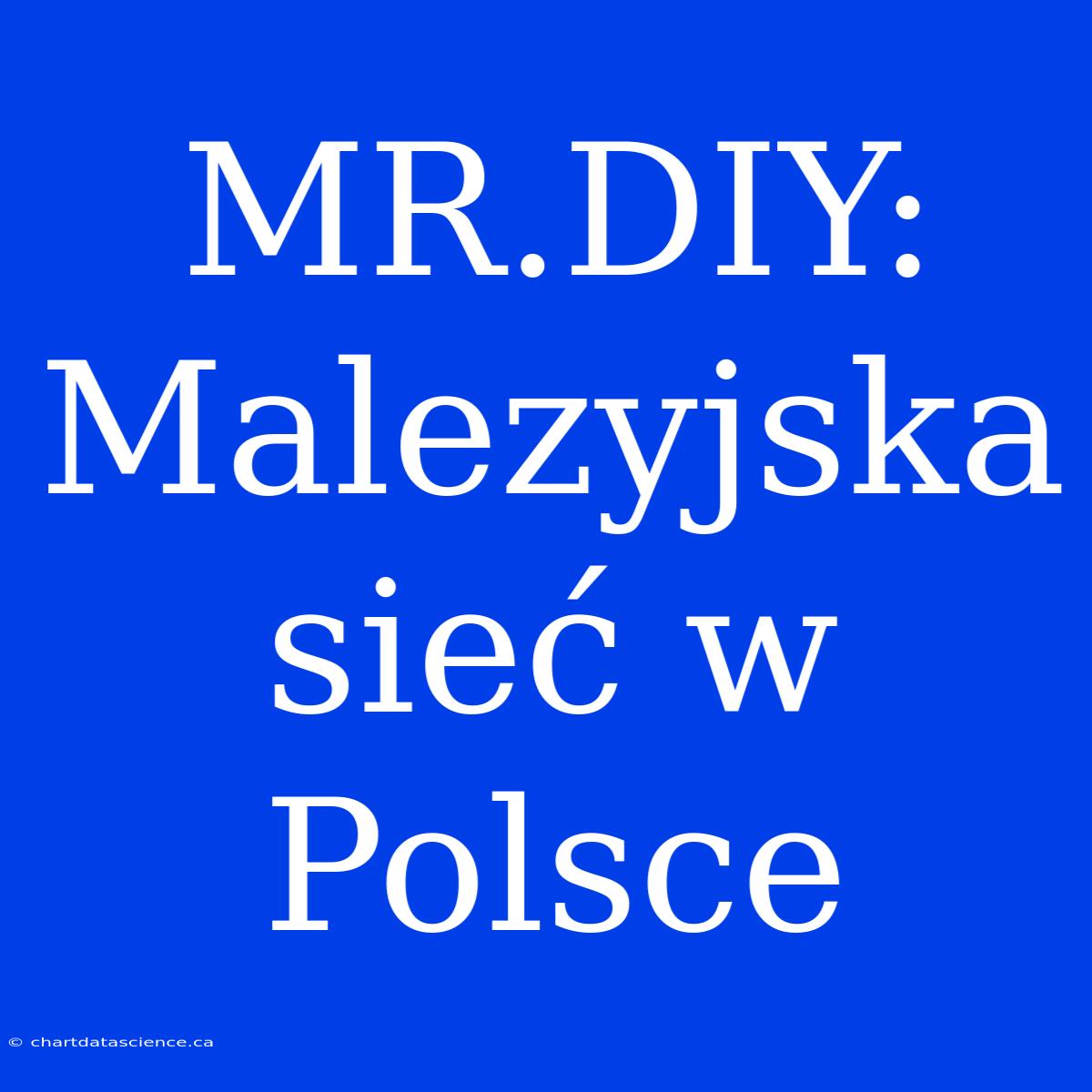 MR.DIY: Malezyjska Sieć W Polsce